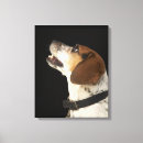 Pesquisar por poster amizade impressão de canvas Animal
