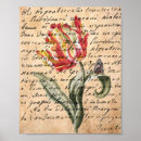 Pesquisar por tulipa pósteres Colheita