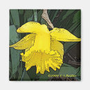 Pesquisar por do daffodil imas Amarelo