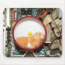 Pesquisar por poder do computador Animal