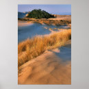 Pesquisar por dunas de areia pósteres Grama