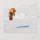 Pesquisar por yukon canadá cartoes postais Inverno