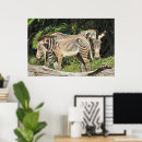 Pesquisar por zebra pôsteres pósteres Qualquer pessoa