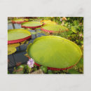 Pesquisar por pad cartoes postais Natureza