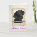 Pesquisar por páscoa labrador cartoes postais Laboratório