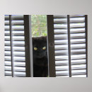 Pesquisar por peekaboo pôsteres pósteres Gato