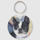 Pesquisar por boston terrier chaveiros Canino