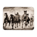 Pesquisar por execução imas Fotografia