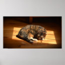 Pesquisar por cute pet pôsteres pósteres Cat