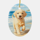 Pesquisar por labrador retriever ornamentos Fofo