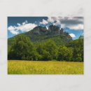 Pesquisar por ocidental cartoes postais Floresta