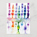 Pesquisar por anatomia cartoes postais Olho