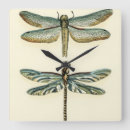 Pesquisar por libélula relogios de parede Insetos
