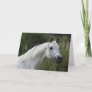 Pesquisar por cabeça de cavalo cartoes Equestre