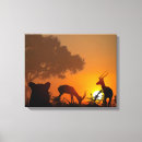 Pesquisar por gazela impressão de canvas Animal