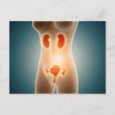 Pesquisar por órgãos humanos cartoes postais Saúde