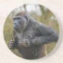 Pesquisar por jardim zoológico porta copos Gorila