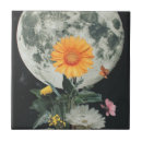 Pesquisar por lua azulejos Celestial