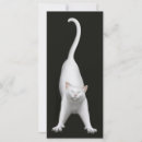 Pesquisar por de esticão Gatinho