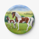 Pesquisar por placa do cavalo Para todos