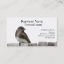 Pesquisar por aviário cartao de visita Pássaro