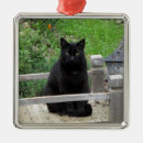 Pesquisar por gato preto ornamentos Qualquer pessoa