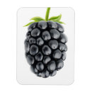 Pesquisar por blackberry imas Fruta
