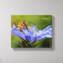 Pesquisar por mel impressão de canvas Floral