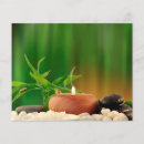 Pesquisar por estar flyers Zen