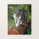 Pesquisar por pata do gato quebra cabecas Patas