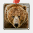 Pesquisar por do alasca ornamentos Urso