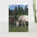 Pesquisar por potro potro égua cartoes Equestre