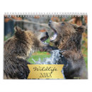Pesquisar por calendário dos animais selvagens calendarios Urso