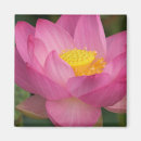 Pesquisar por aquatic plants imas Flor