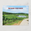 Pesquisar por vinho cartoes postais Paisagem