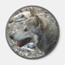 Pesquisar por lobo de madeira imas Lobos