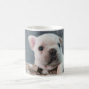 Pesquisar por young canecas Animal