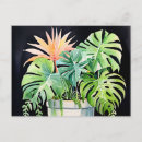 Pesquisar por planta cartoes postais Monstera