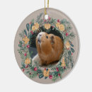 Pesquisar por suínos ornamentos Amante de os animais