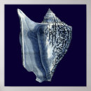 Pesquisar por shells pósteres Litoral