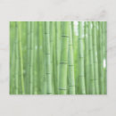 Pesquisar por landscape cartoes postais Forest