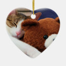Pesquisar por urso de ursinho ornamentos Para todos