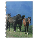 Pesquisar por cavalo do mustang cadernos de notas Equestre