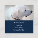 Pesquisar por caridade cartao de visita Simples