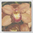 Pesquisar por orquídeas porta copos Qualquer pessoa