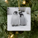 Pesquisar por pinguim imperador ornamentos Animais selvagens