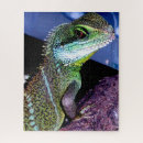 Pesquisar por lagarto dragão chinês Água