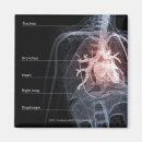 Pesquisar por coração humano imas Parte