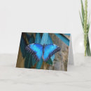 Pesquisar por morpho cartoes Azul