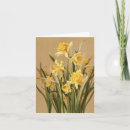 Pesquisar por do daffodil cartoes Botânica
